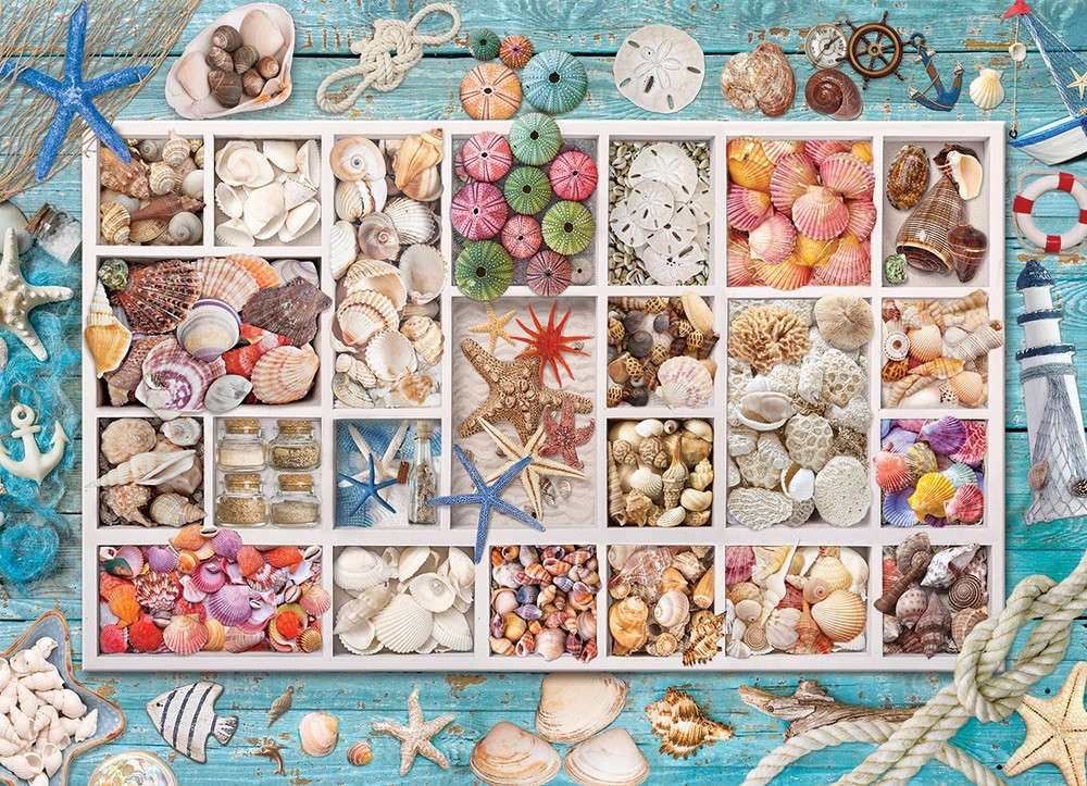 Seashell Collection 1000-Piece Jigsaw Puzzle