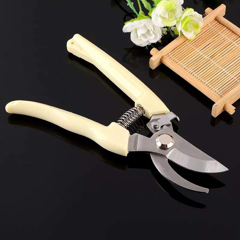 2-Pack Premium Gardening Pruning Shears Set - Includes Straight Blade Scissor...
