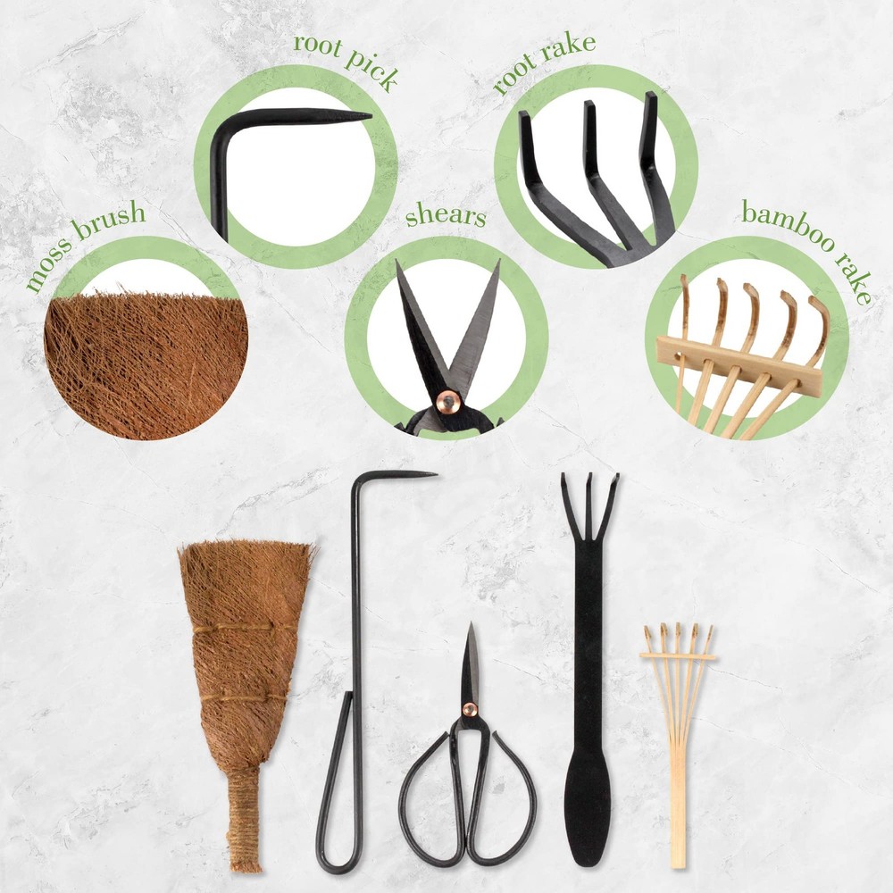Bonsai Tool Kit 5pc Basic Care Set 1 Set
