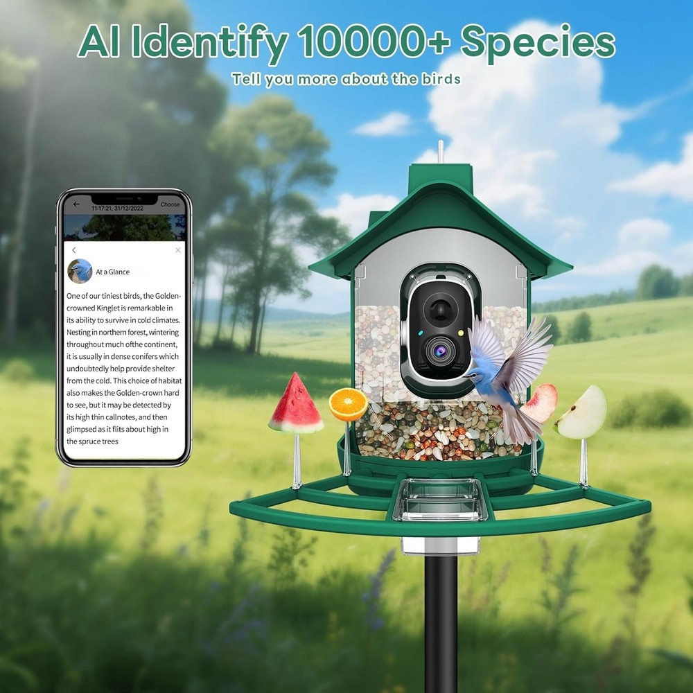 Smart Bird Feeder with 2K Live View Camera & AI Identify with Solar Panel,Night