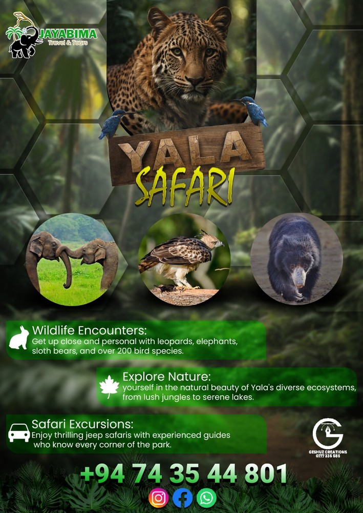 CUSTOM FLYER DESIGN,LOGO Single/Double Sides Leaflet DESIGN ONLY, Unique