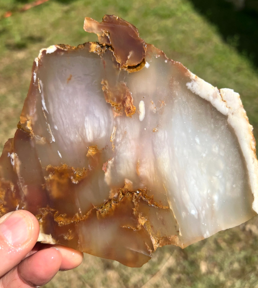 Lg Paiute Agate Slabs - 271 g