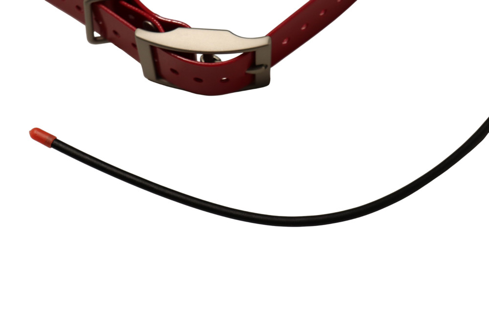 Garmin TT15 Tracking & Training Collar – Great Condition – New Red Strap
