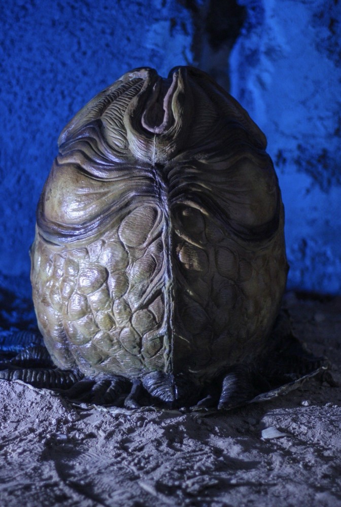 Alien/Xenomorph Eggs