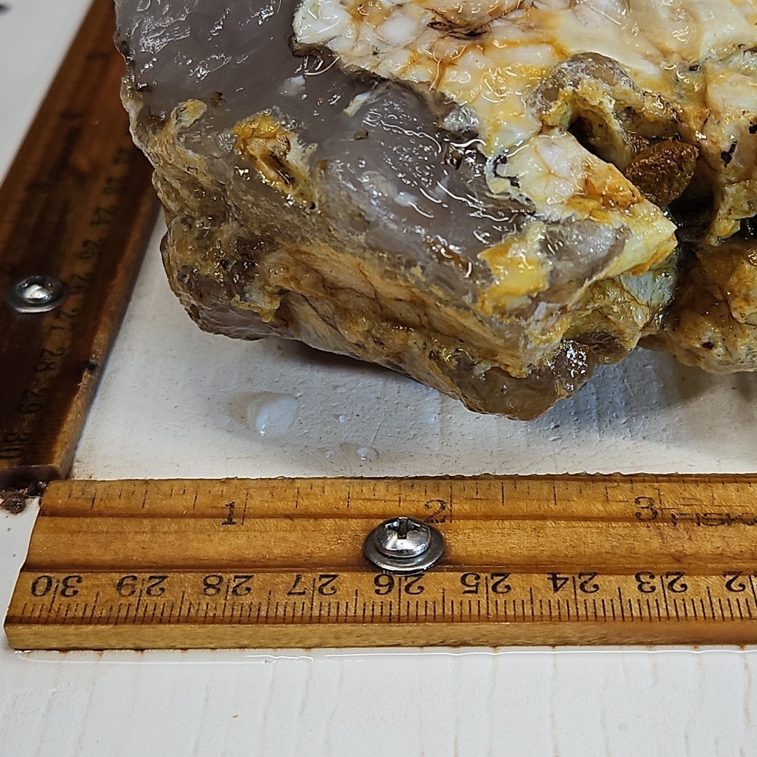 Flower Agate, Madagascar, beautiful color, flower like dendrites 1LB 15.5oz.