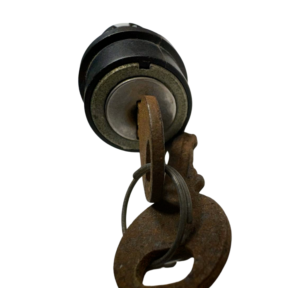 Keyed Switch 2 Position **Free Shipping**