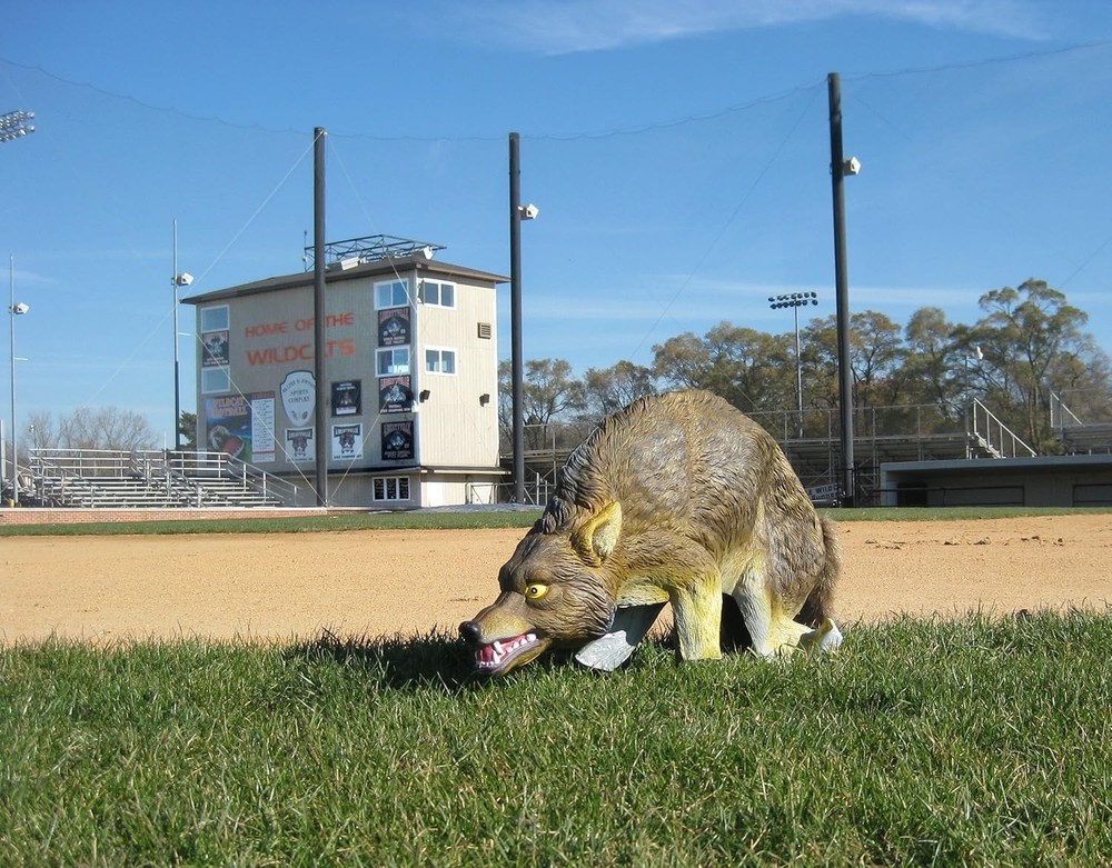 Lifelike 3D Decoy Predator Replica, Wind-Powered Moving Tail, 1 Acre Coverage