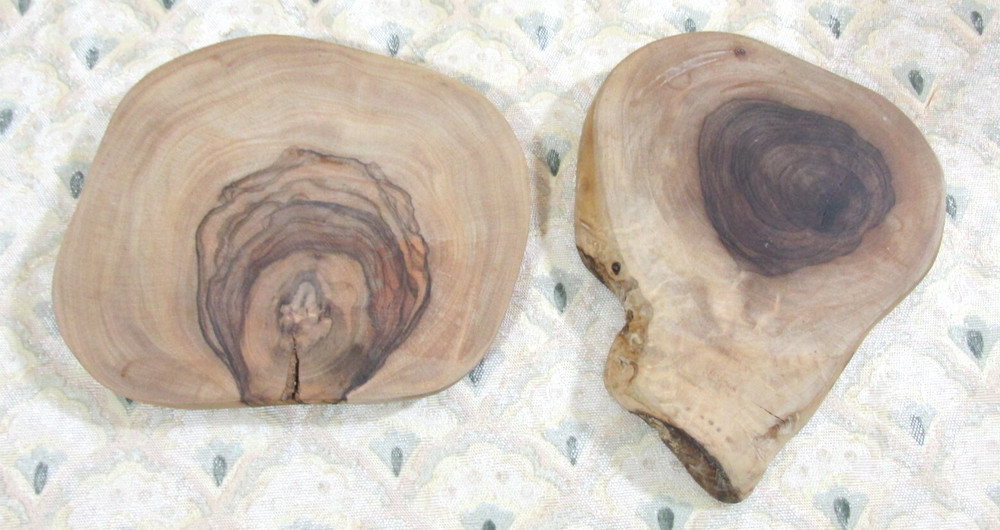 PETRIFIED TREE SLICES FOSSILIZED 5" ROUNDS