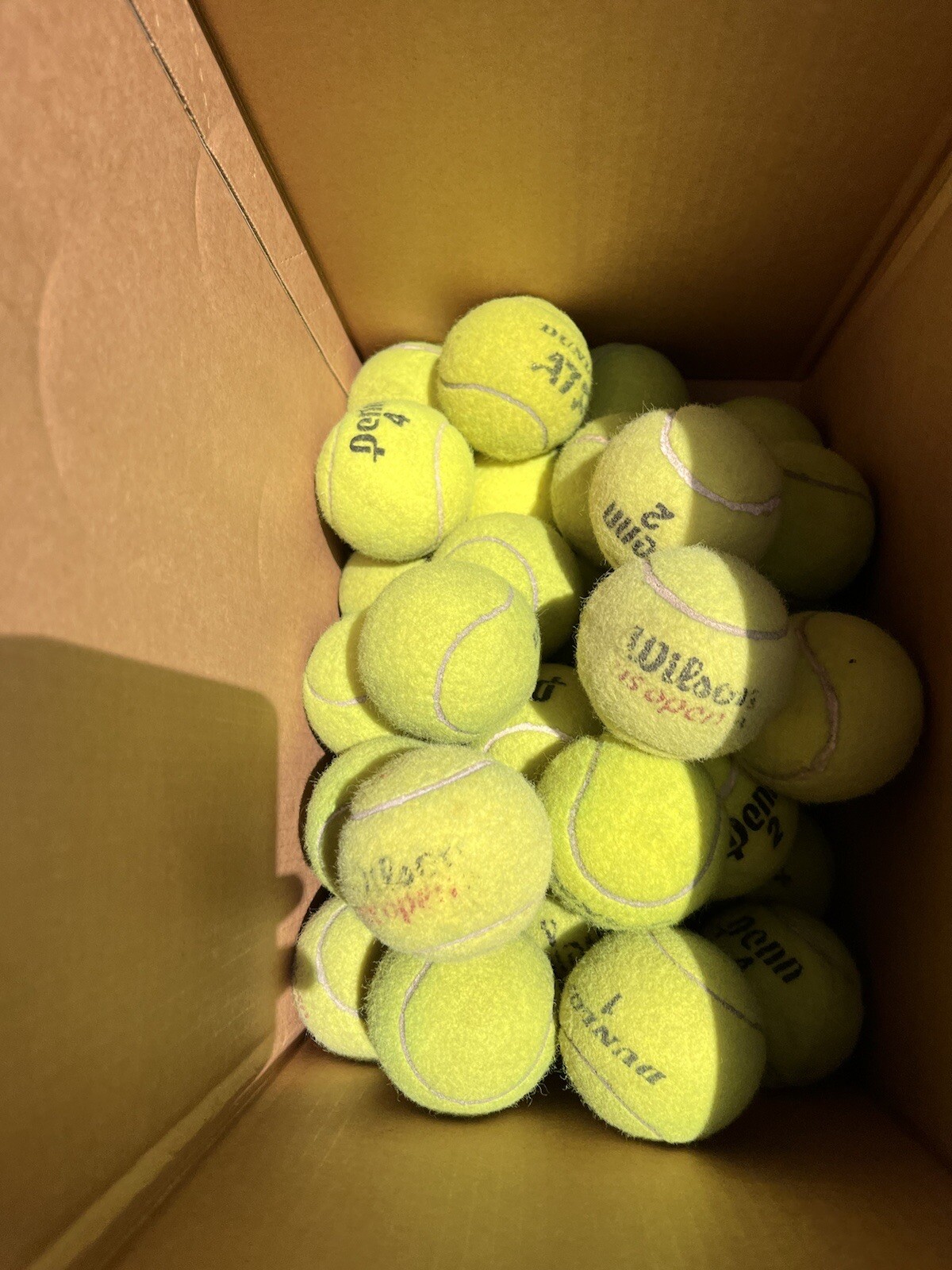 10 of Good Grade used Tennis Balls from Wilson, Dunlop, Penn, Head, etc Dog Toys