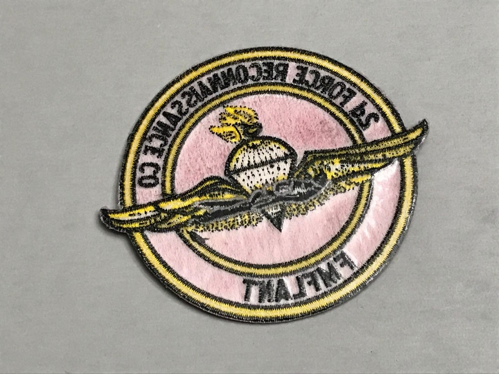 2d Force Reconnaissance Co patch, FMFLANT patch, patch with wings, military