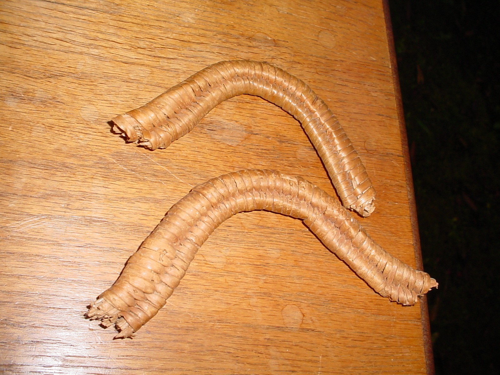 LARGE OLD THOMPSON RIVER SALISH INDIAN BASKET WITH BROKEN HANDLES 17 BY 12 BY 10