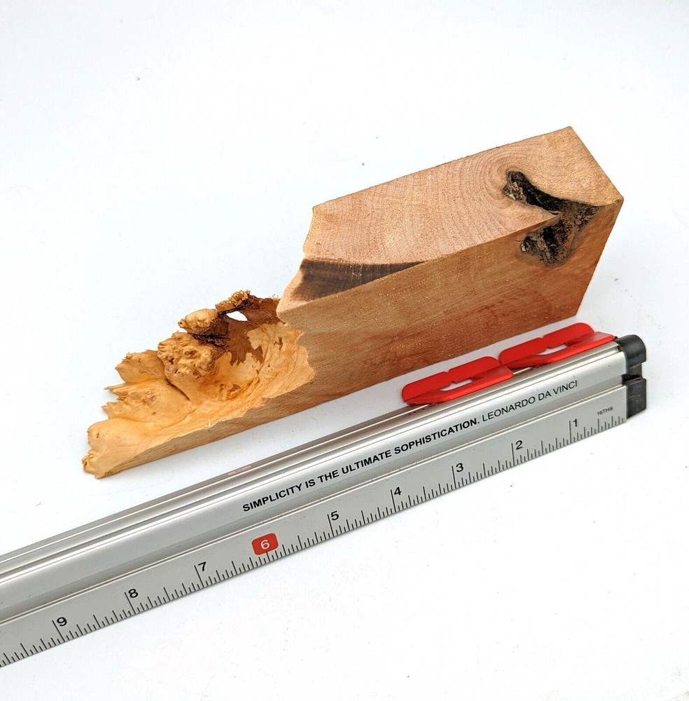 Maple Burl Scrap