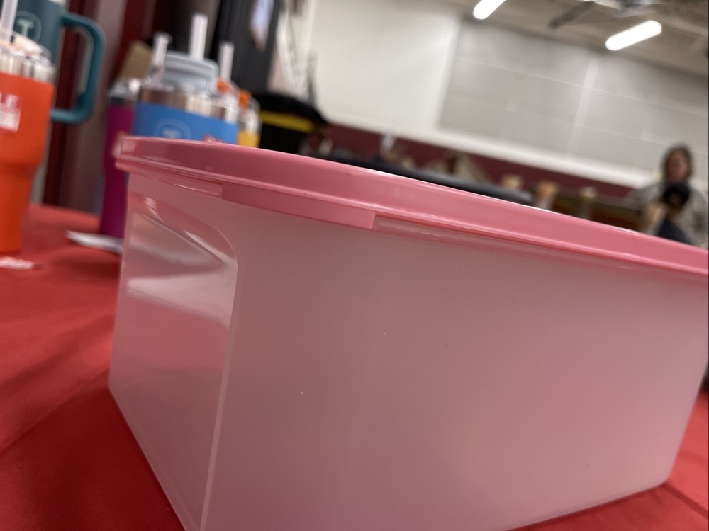 Tupperware Modular Mates Rectangle 2 - Pink  Lid 18 Cups