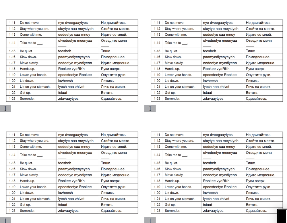 Defense Language Institute DLI BASIC RUSSIAN Text & 600+ MP3 Files Audio CD