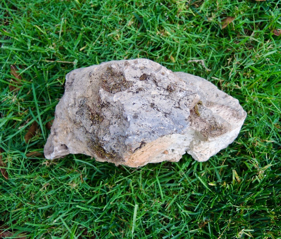 Medium Pumice Stone Volcanic Rock