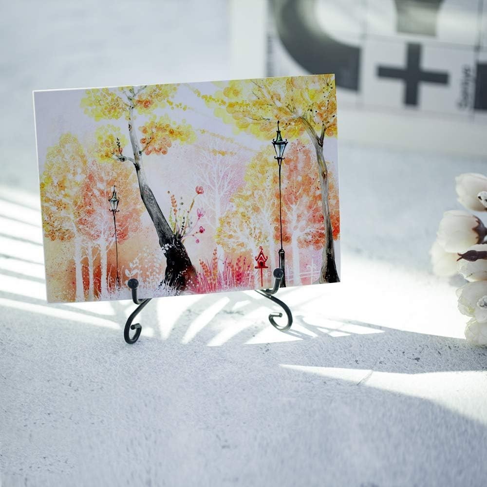 Adjustable & Foldable Iron Display Stand Set - Perfect for Home & Gallery