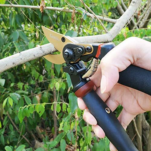 Professional Titanium Coated Pruning Shears Garden Secateurs Scissors 8.5 inch