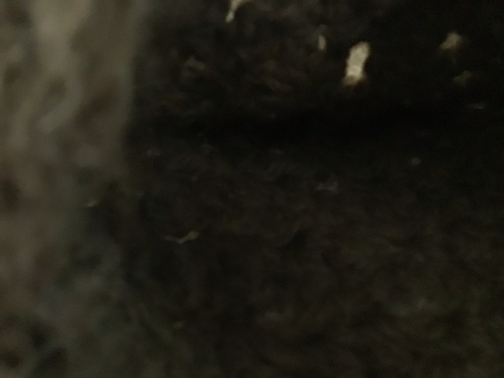 Alpaca Brown Crocheted Handmade Tasseled Hat