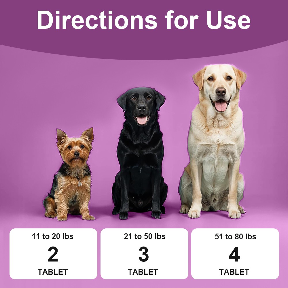 150 Soft Chews of Pumpkin + Anal Gland Support Supplement for Dogs No Scoot