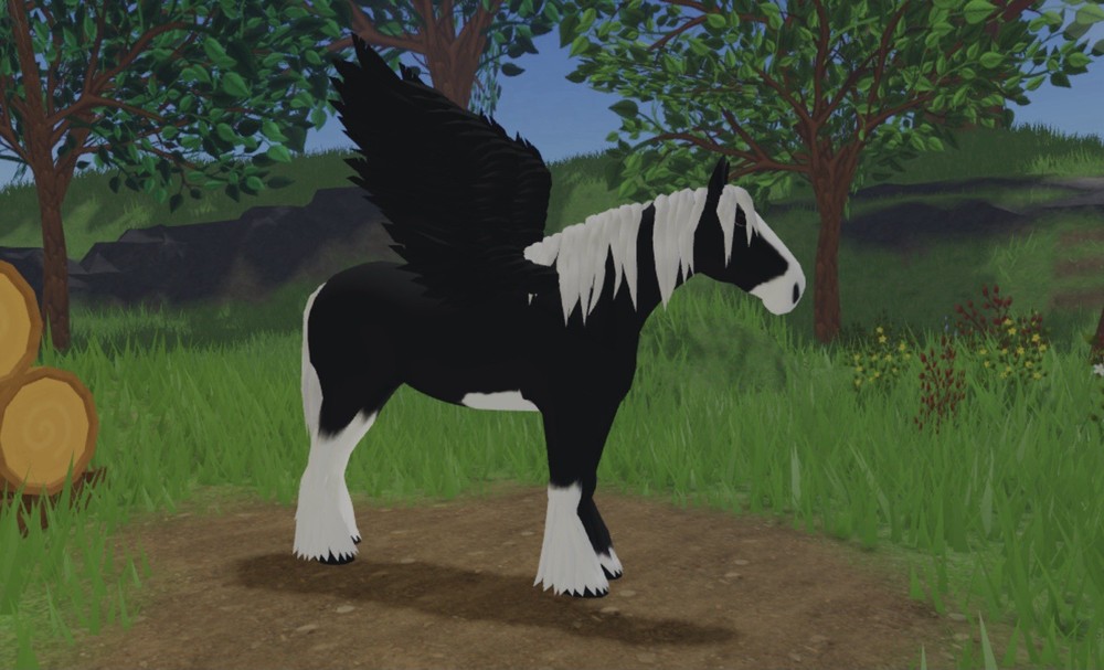 Large Tattered Pegasus Wings (Black)