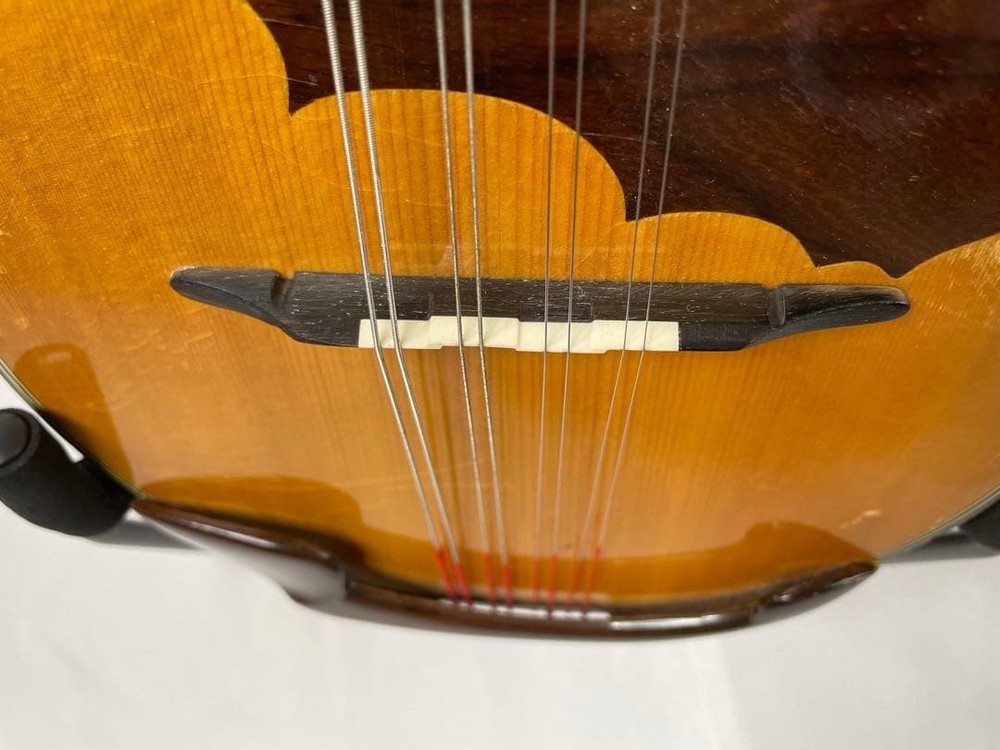 SUZUKI/Suzuki Classic Mandolin M-100