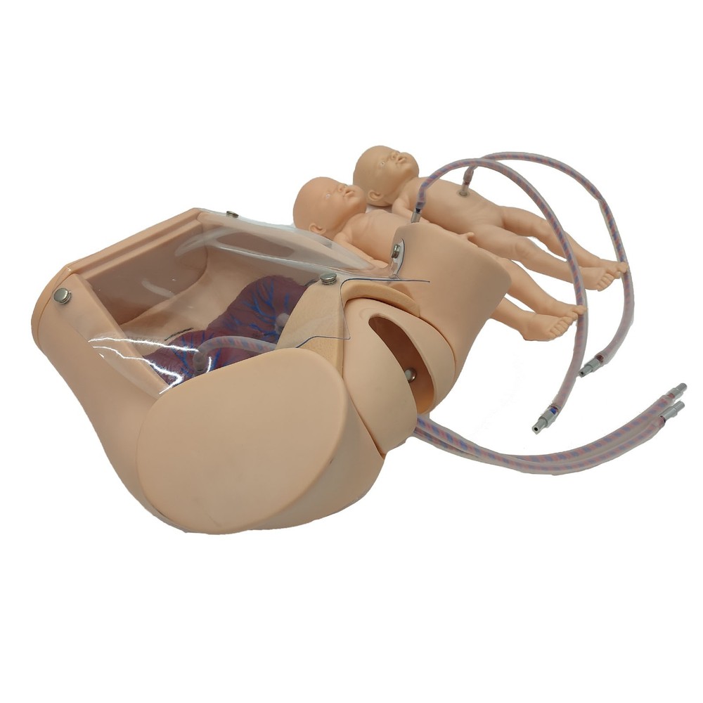 Female Childbirth Model Simulation Childbirth Comprehensive Skill Training Model