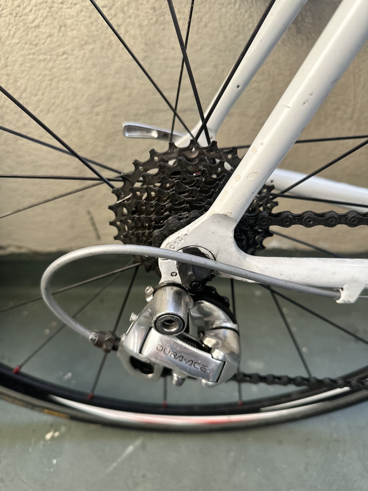 Colnago Mapei Vintage Racing Bicycle