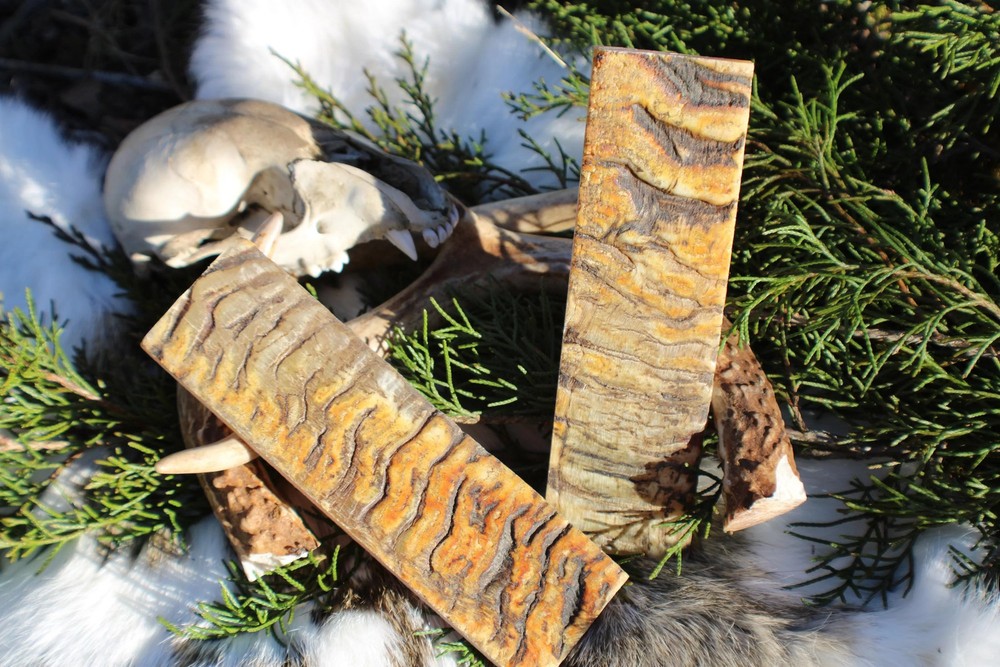 Ram Horn Knife Handle Scales: Textured Patterned Raw Material Pair