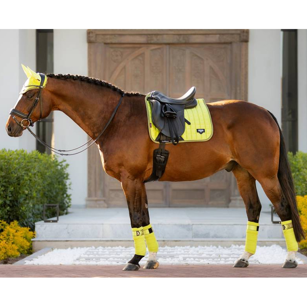 IT02704 LeMieux Loire Polo Bandages Wraps - Kiwi NEW