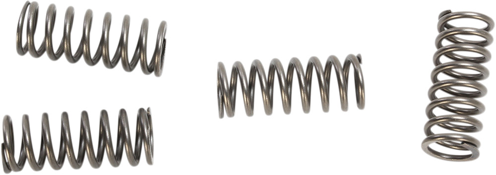 EBC CSK Clutch Spring Kit CSK219