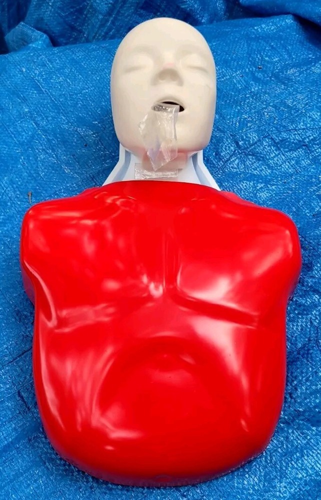 Lifeform Nasco Basic Buddy CPR Training Adult LF03694