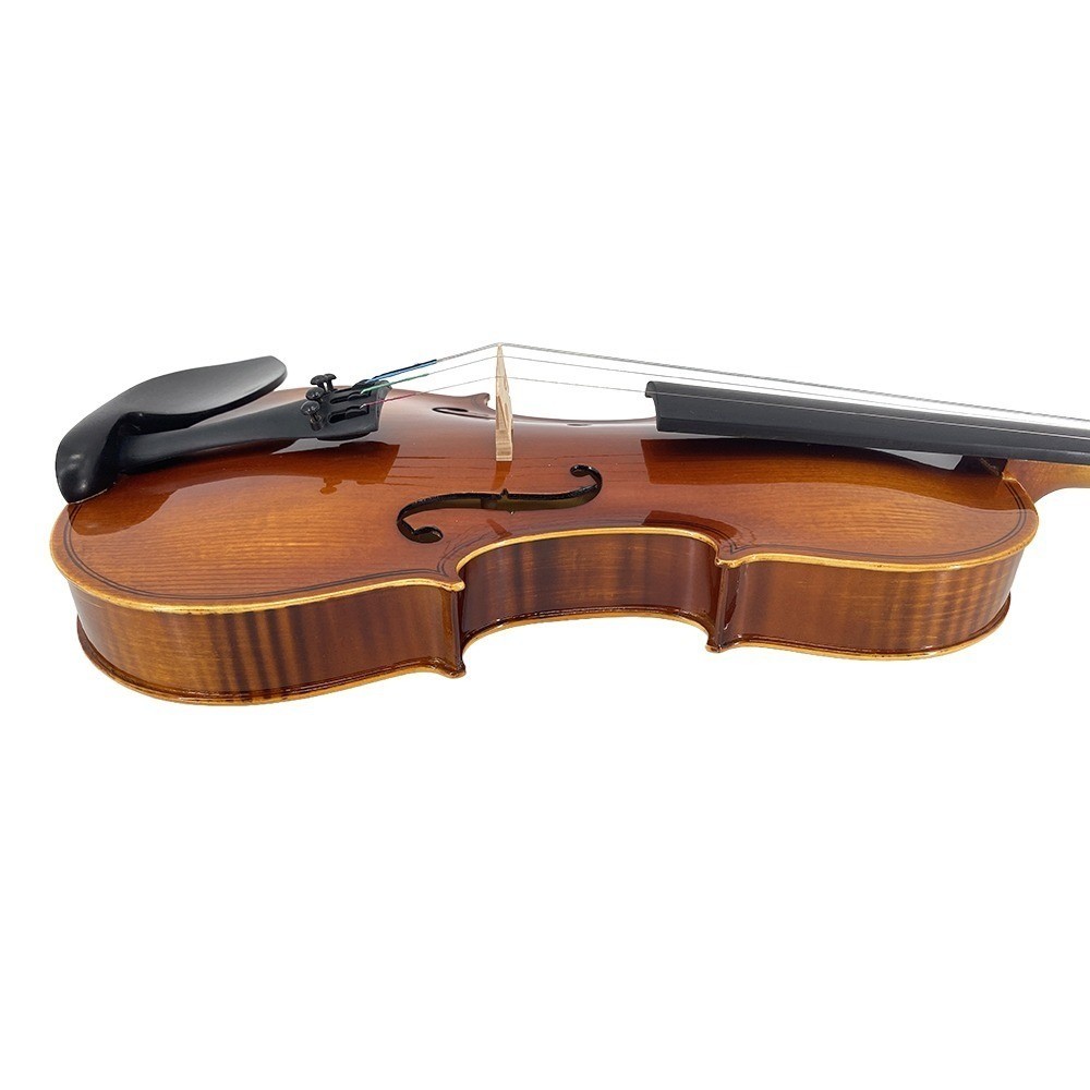 4/4 Violin Starter Kit Spruce Top Maple Back with Case Accessories Beginner Kit