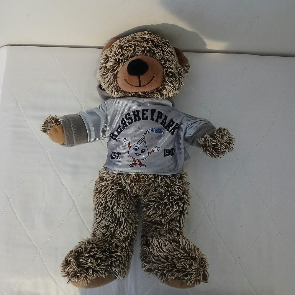 Hershey Park bear from 2015