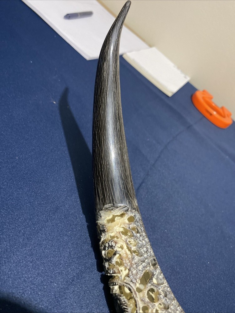 Hand Carved Horn