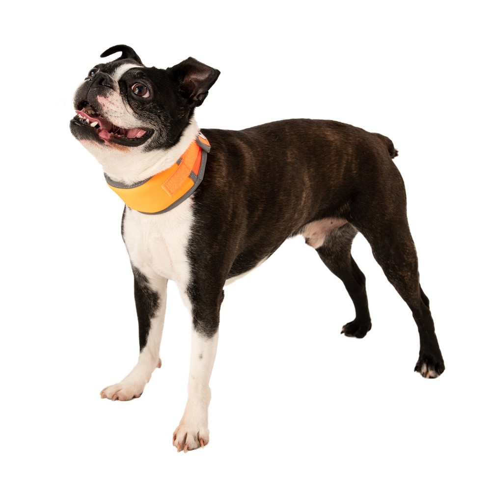 CoolerDog High-Vis Cooling Collar - Reflective Orange