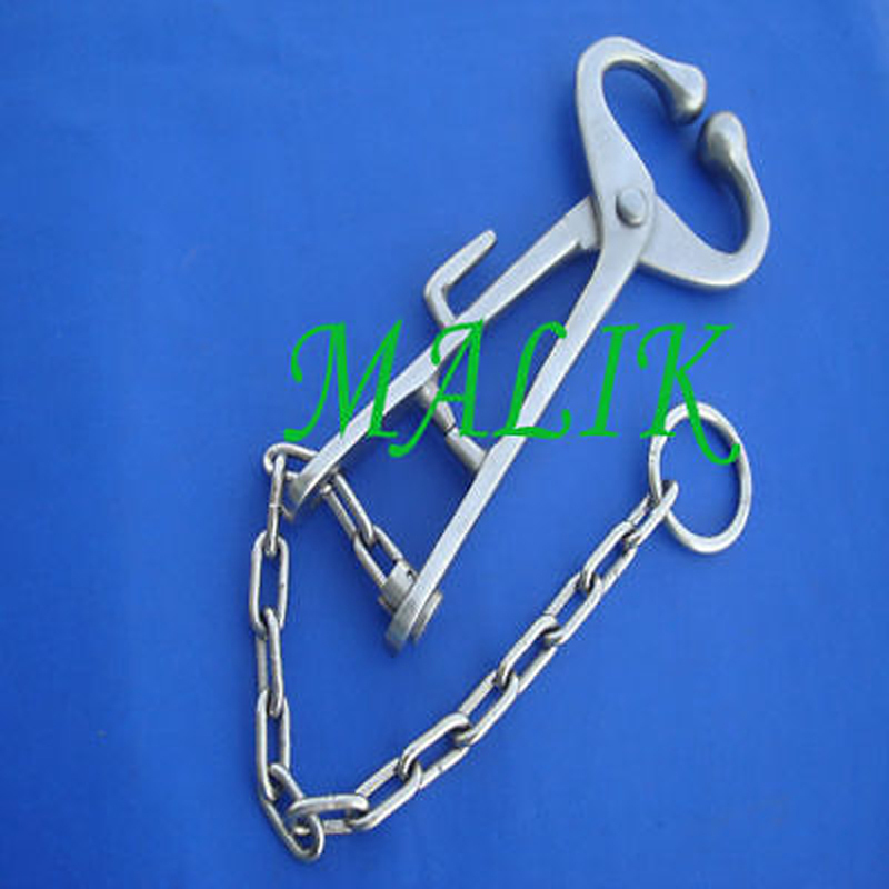 Bull Leader Veterinary Instruments