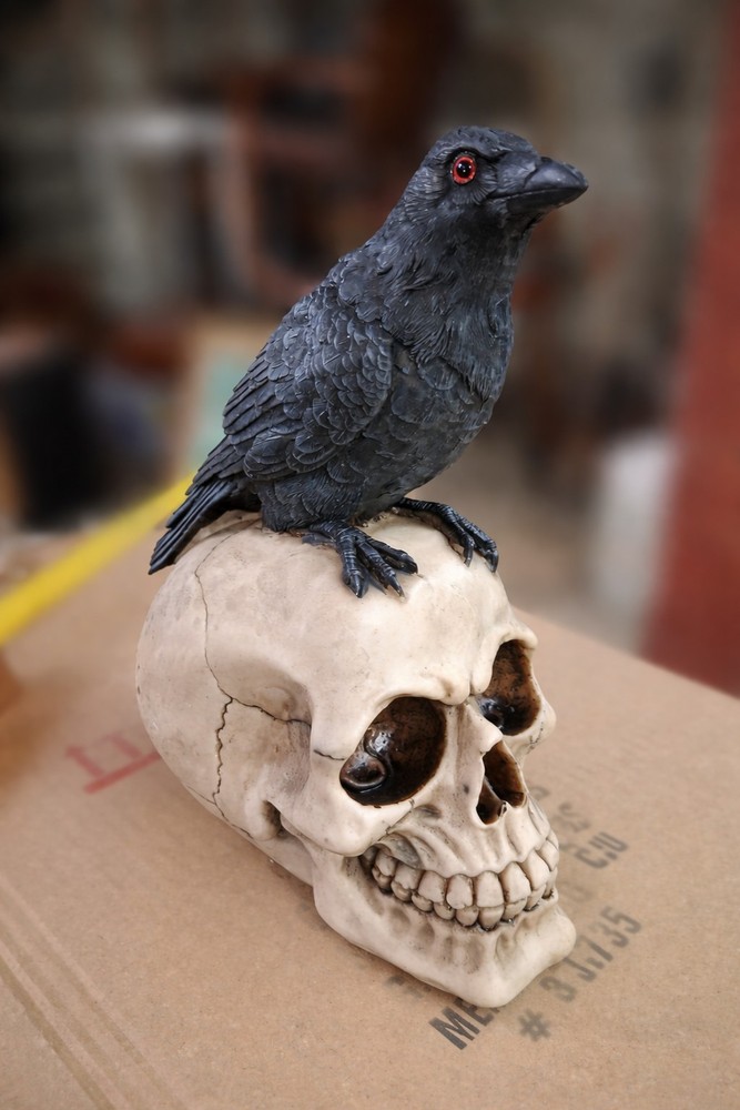 Raven Perched on Skull Gothic Figurine