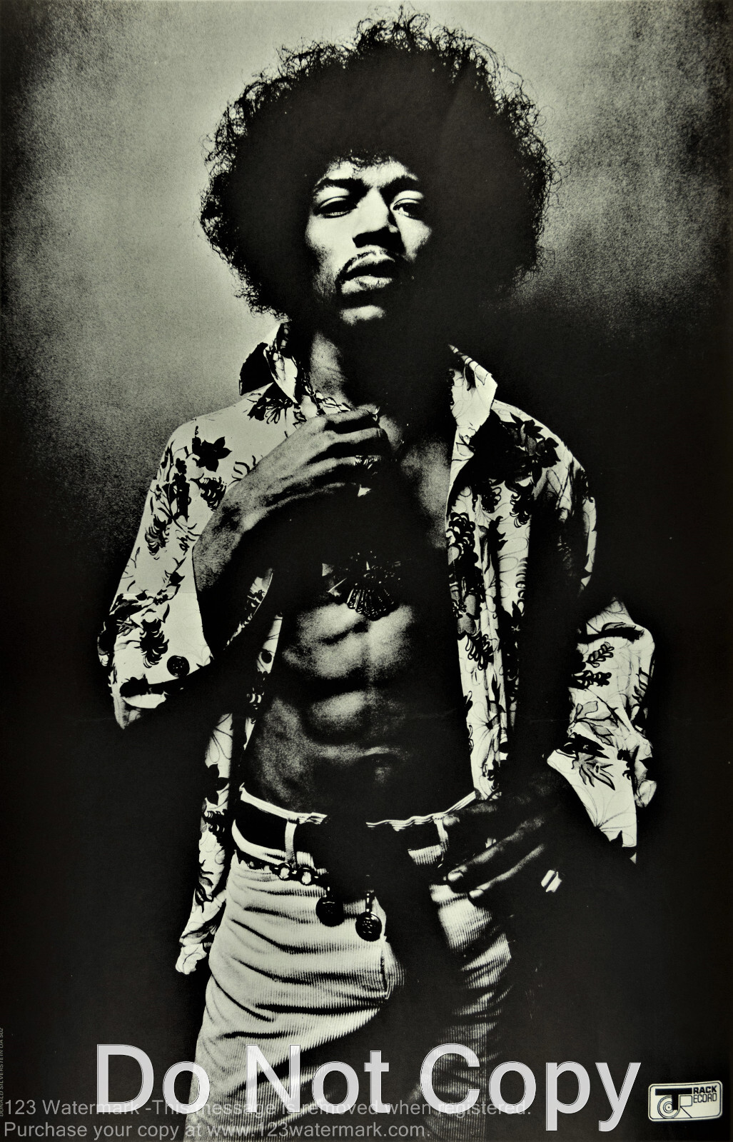 JIMI HENDRIX EXPERIENCE POSTER SHOW 12"x18"