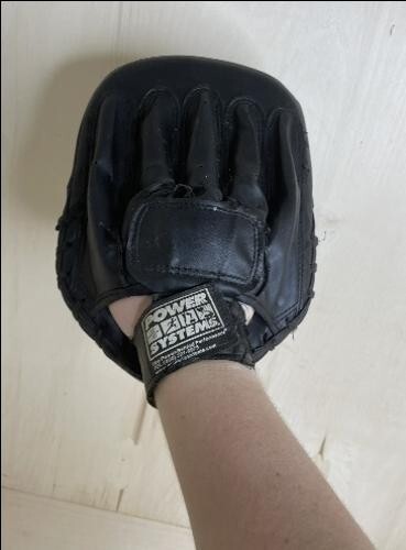 Right and Left Power Systems Boxing Hand Guards Drill Hand Combo Training