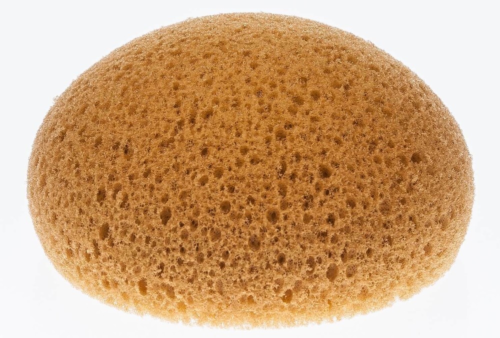Hydra Honeycomb Form Tack Sponges, each