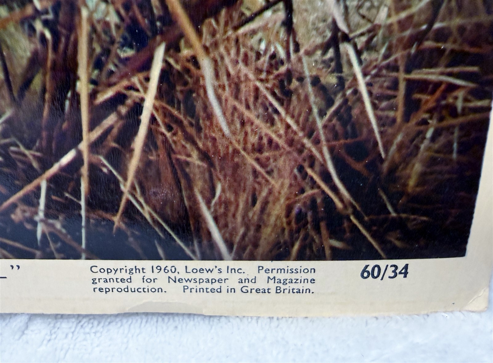 VINTAGE 1960 8x10 HOME FROM THE HILL LITHO PROMO PICTURE LOBBY CARD