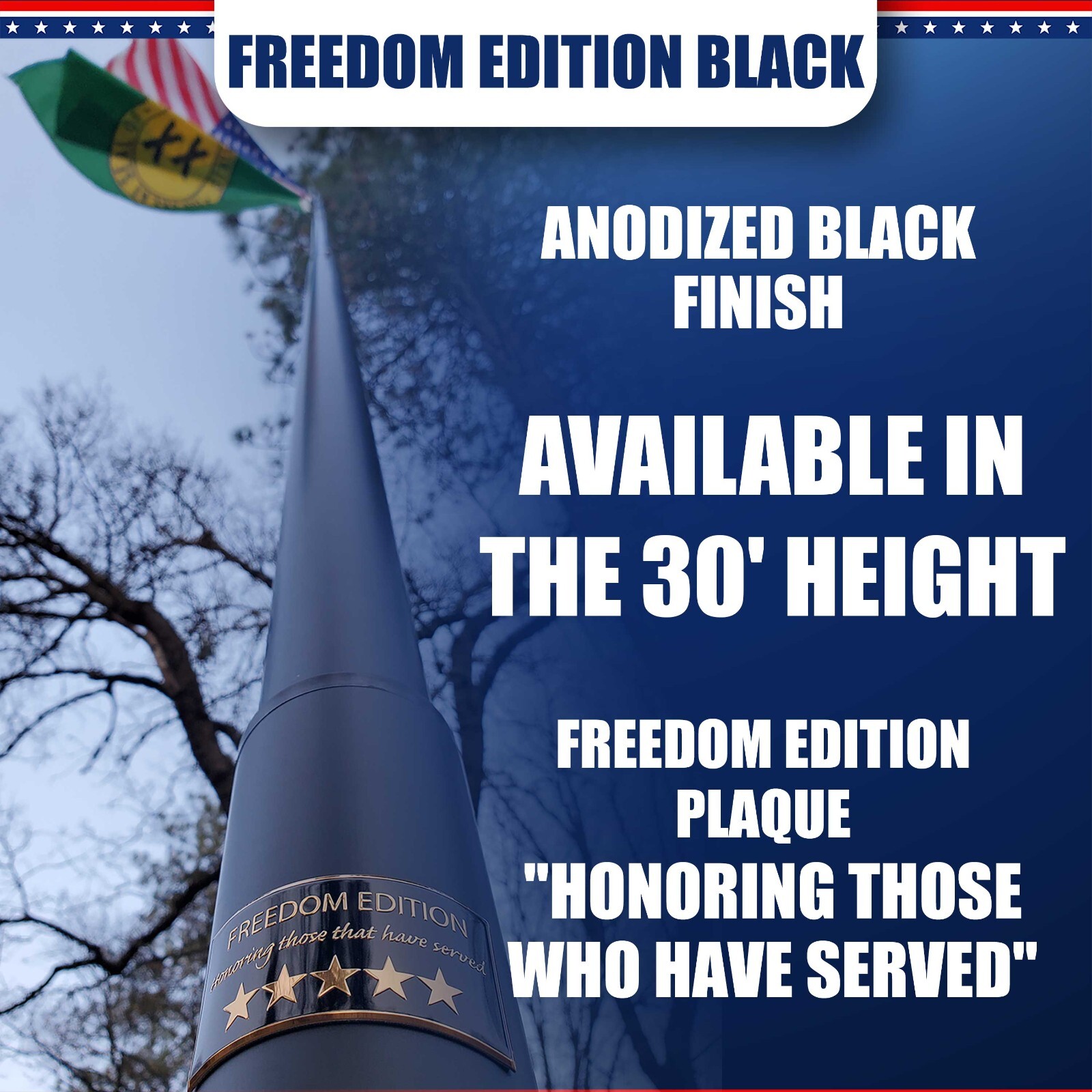 30' DELTA SECTIONAL FLAG POLE "FREEDOM EDITION" (BLACK)