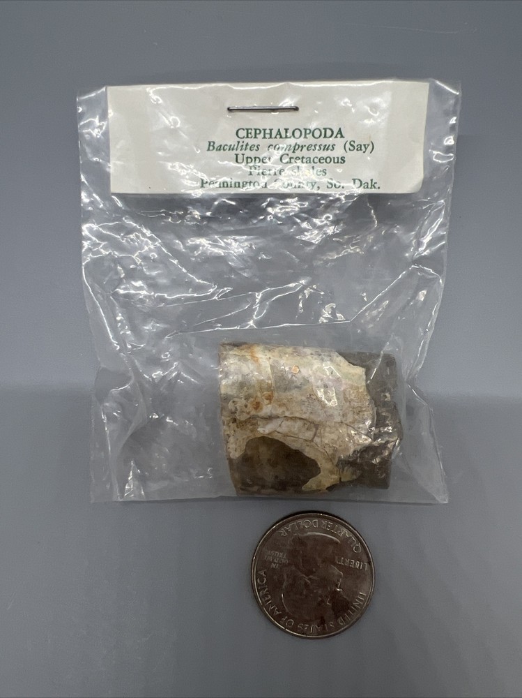 15-SPECIMEN MAJOR PHYLUM FOSSIL COLLECTION LABELED & SEALED
