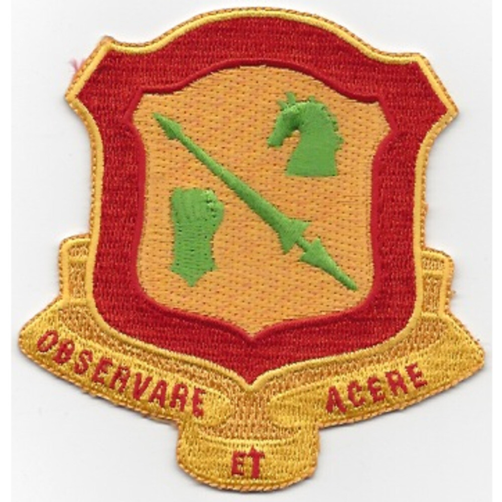 111th Armored Cavalry Regiment Patch