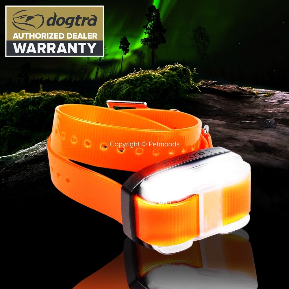 Dogtra Edge Dog Collar Receiver Orange Strap