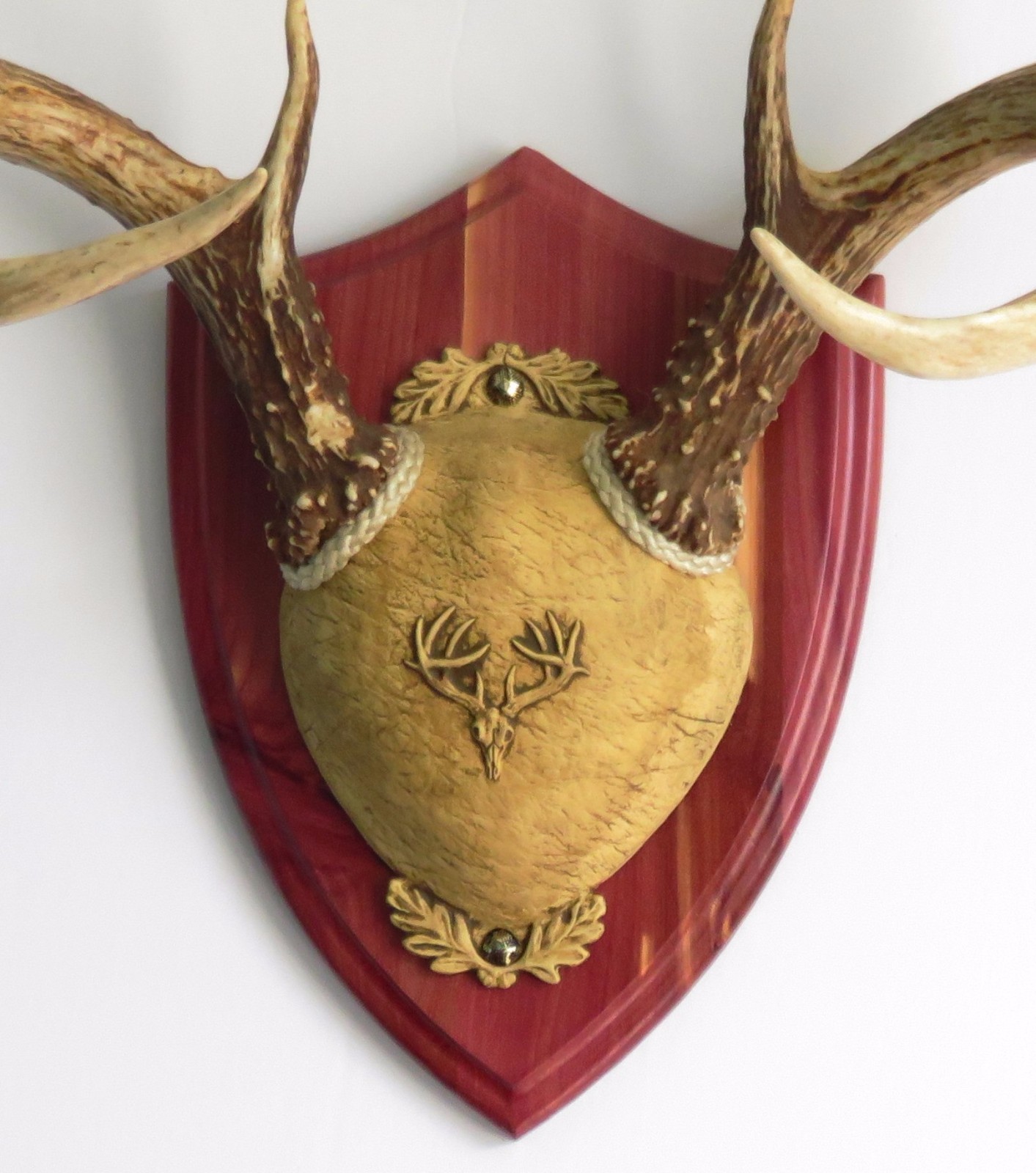 Cedar Ultimate Antler Mounting Kit for Deer - The Taxidermists' Woodshop