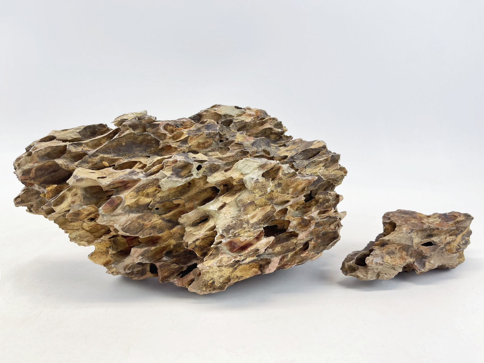 Dragon Stone (Ohko Stone) / Planted Aquarium / Decoration / Hardscape / Aquarium