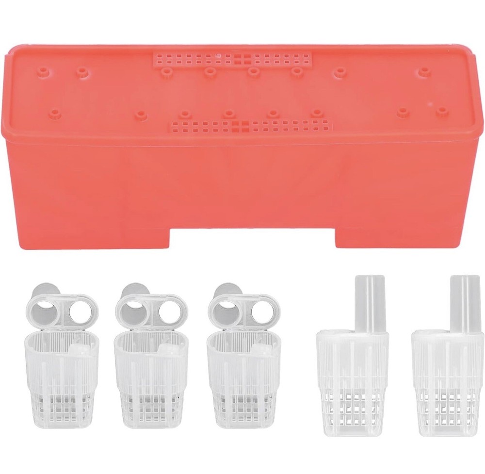Queen Bee Rearing Cages Transporting Box with 20 Transparent Cages
