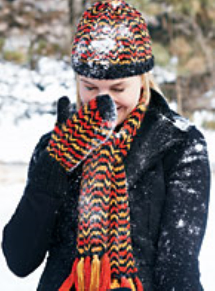 Snow Country Patons Pattern Book 500851