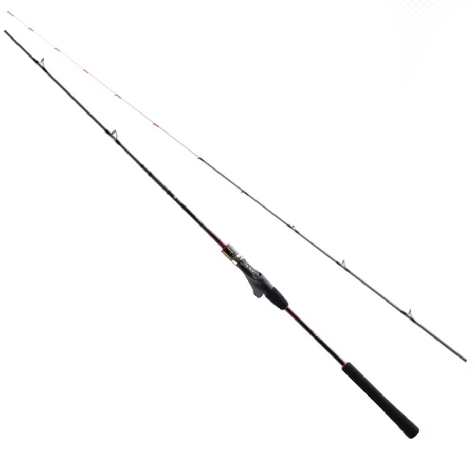 Shimano ENGETSU TT B69LS Baitcasting Rod Shipping From JAPAN